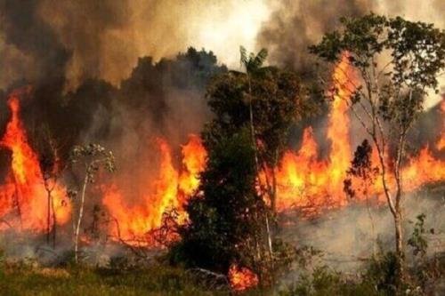 دود آتش سوزی احتمال مبتلاشدن به كووید 19 را بیشتر می كند