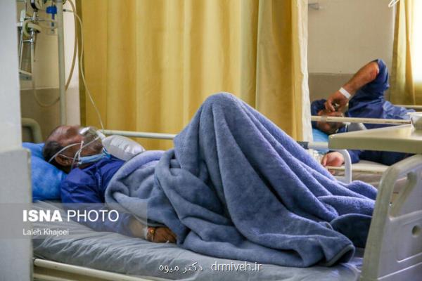 کل کشور کانون امیکرون