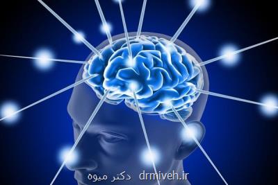 ارتباط ۷ سبک زندگی سالم با کاهش ریسک مبتلا شدن به زوال عقل