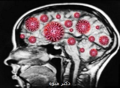 کووید ۱۹ ریسک آلزایمر و پارکینسون را بیشتر می کند