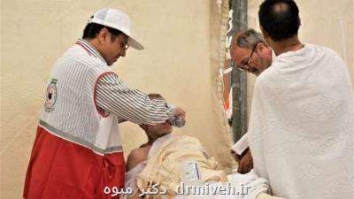 ارائه بیش از ۸۶ هزار و ۵۰۰ خدمت درمانی به زوار ایرانی حج تا امروز
