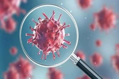 پیک هشتم کرونا بیخ گوش مردم استان سمنان است