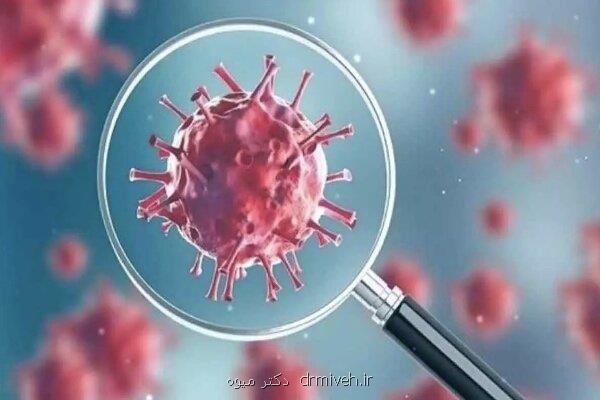 پیک هشتم کرونا بیخ گوش مردم استان سمنان است