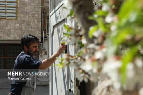 کمردرد شایع ترین عارضه خانه تکانی ایرانیان