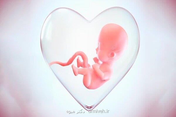 پشت صحنه لقاح مصنوعی در ایران روایتی از امید و انتخاب های دشوار