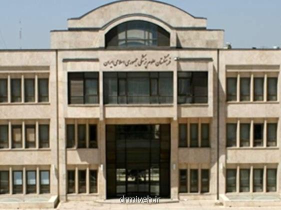 پیشنهاد مرندی به پزشکیان ستاد ملی اصلاح سیستم سلامت تشکیل گردد