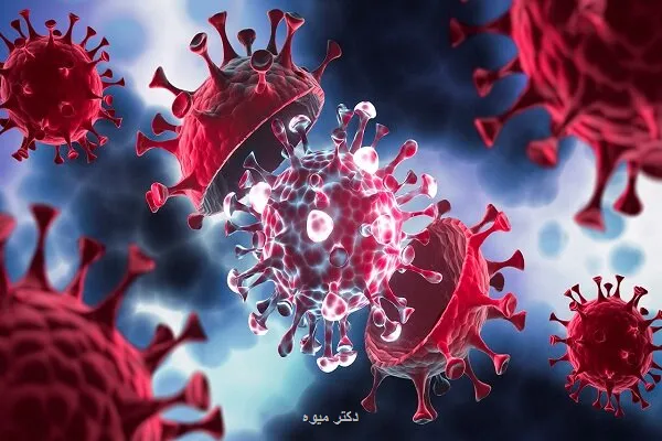 آن چه باید در رابطه با هانتا ویروس بدانیم