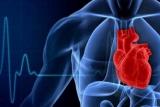 شدت بیماری قلبی به میزان اكسید نیتریك بدن وابسته است