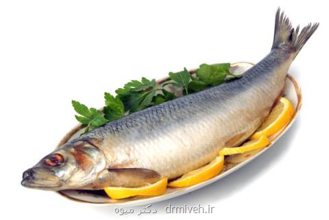 مصرف ماهی باعث افزایش قدرت باروری می گردد