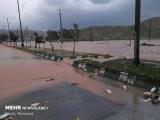 كمك ۲۰۰ میلیونی داروسازان برای سیل زدگان