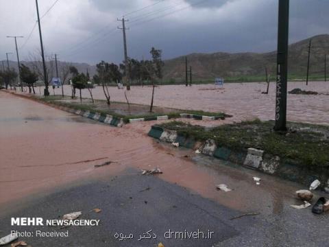 كمك ۲۰۰ میلیونی داروسازان برای سیل زدگان