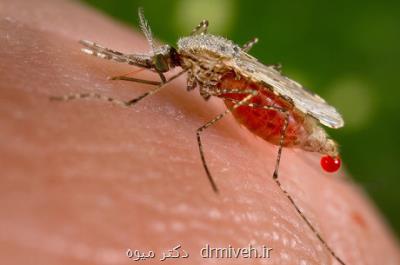 شیوع مالاریای مقاوم به دارو در جنوب شرق آسیا
