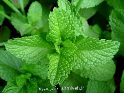 دمنوشی برای بهبود معده درد