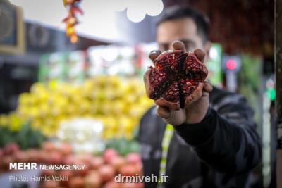 نگرانی مدافعان سلامت از دورهمی های شب یلدا
