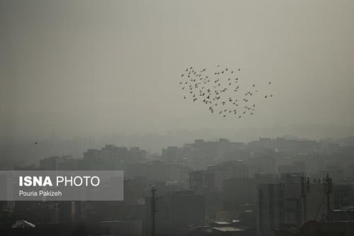 از رسوخ آلودگی هوا به داخل منازل تا درگیری تمام ارگان های بدن