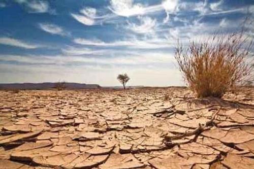 افزایش دو برابری شمار افرادی كه از خشكسالی رنج می برند