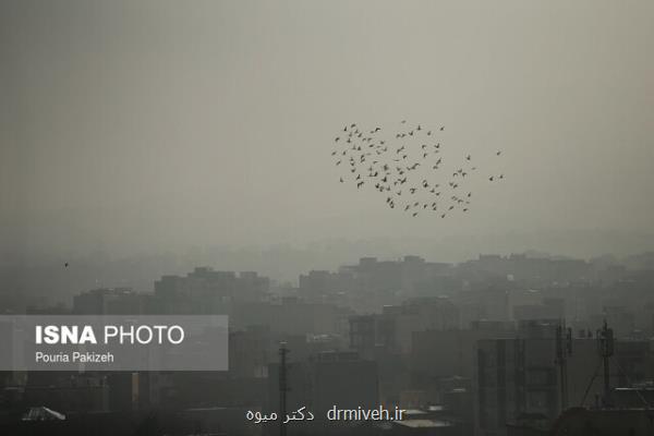 از رسوخ آلودگی هوا به داخل منازل تا درگیری تمام ارگان های بدن